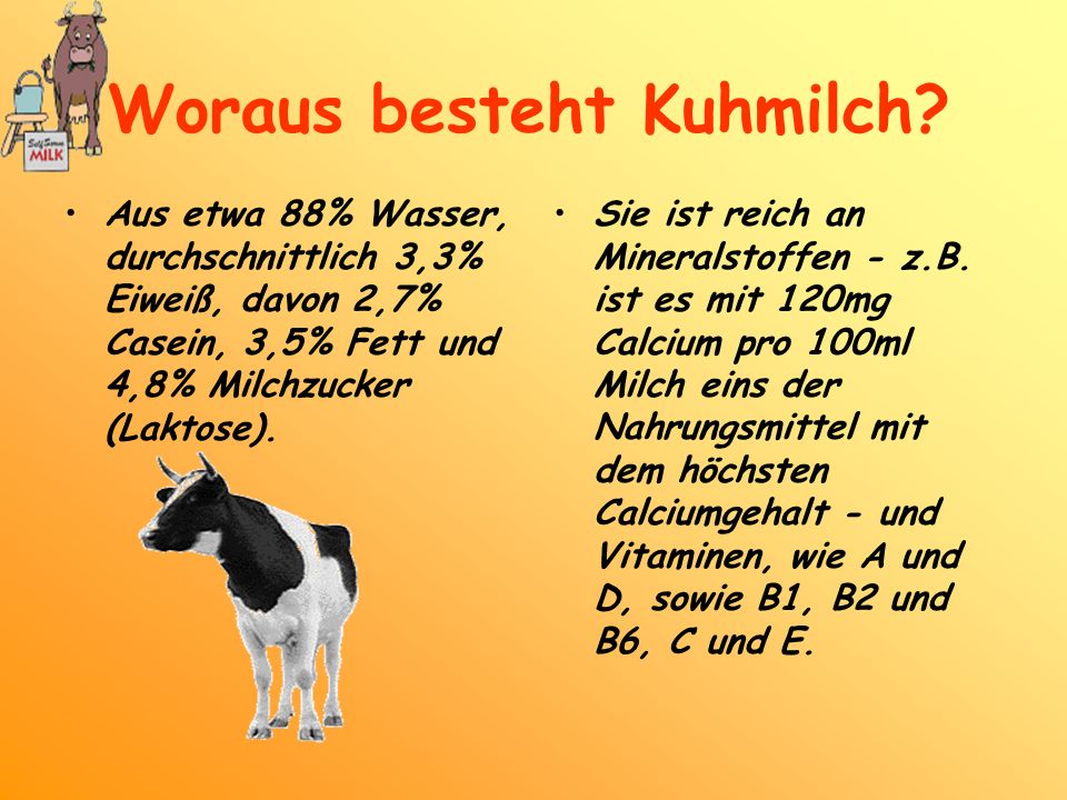 zimt gesund abnehmen fenster sprossen aufgesetzt